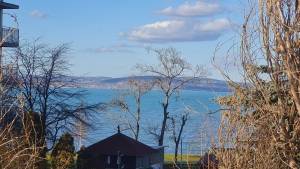 6_FOS_CSALADI_20230114_142313_original